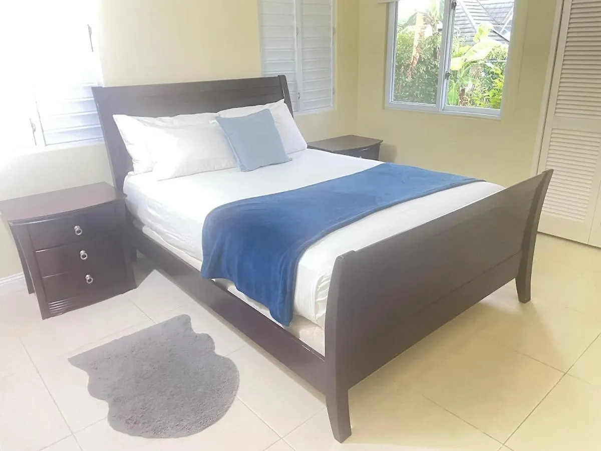 Family Friendly Villa - Fullyac - 15Mins Ocho Rios Richmond Jamaica